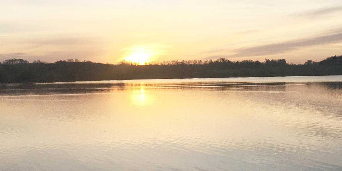 Video | Mindset and the Circle of Influence