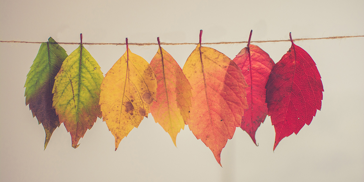 Managing Virtual C-Suite Transitions