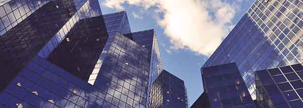 Marketing and Sustainable Organisation Growth
