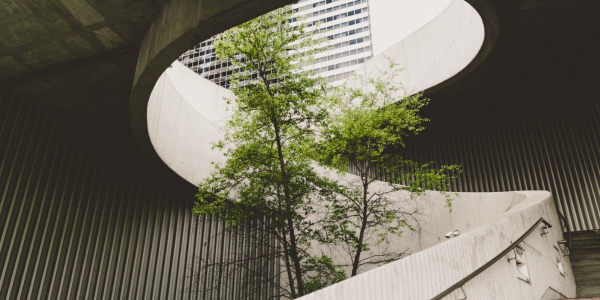 Podcast | Critical leadership attributes for sustainability