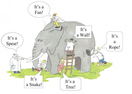 Elephants & Performance Measurement and Management